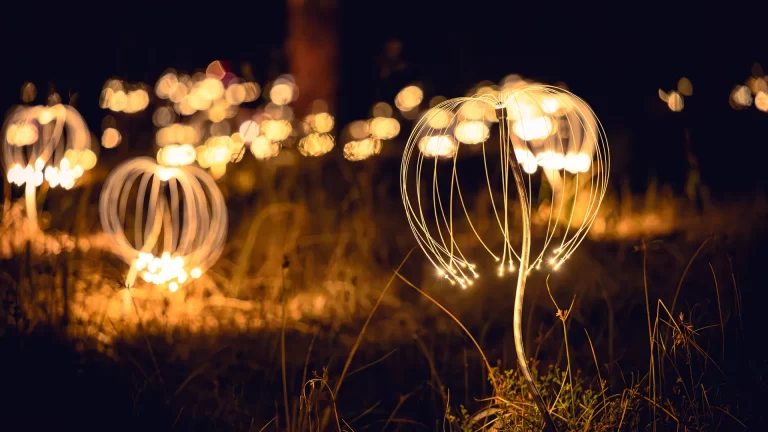 Detailed event photography by Admedia focusing on a single light installation from Bruce Munro's Trail of Lights, with colourful bokeh background.