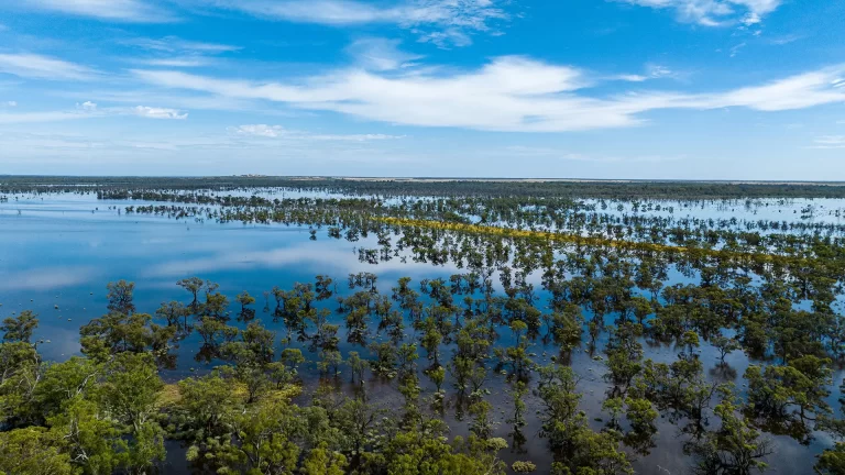 Drone photograph of flood waters around Lindsay Island, Victoria