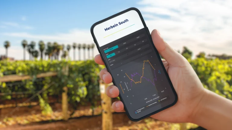 Regional website development for Murray Valley Winegrowers featuring integrated weather monitoring system displayed on mobile phone in vineyard setting